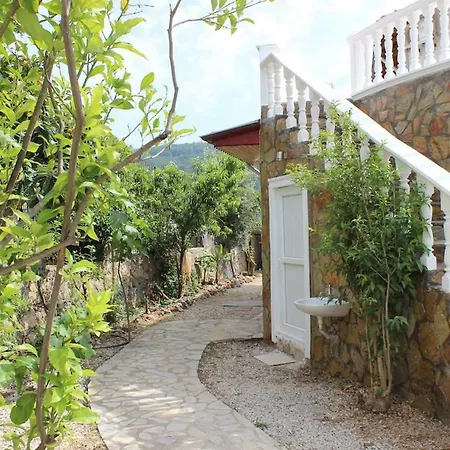 Best Villas In *